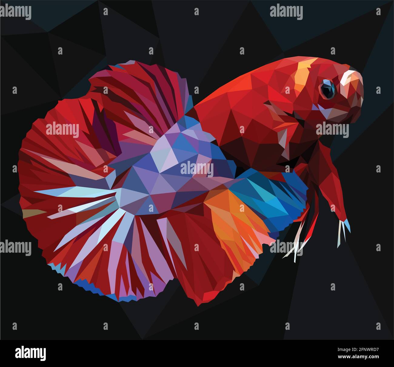 Grafico vettoriale a basso poligono di betta o di pesce da combattimento simese. Illustrazione Vettoriale