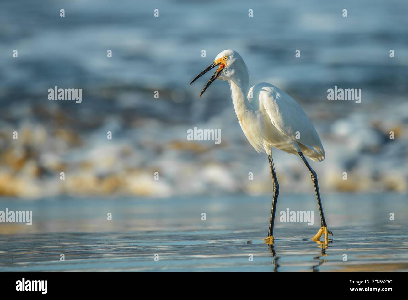 Quel momento perfetto Foto Stock