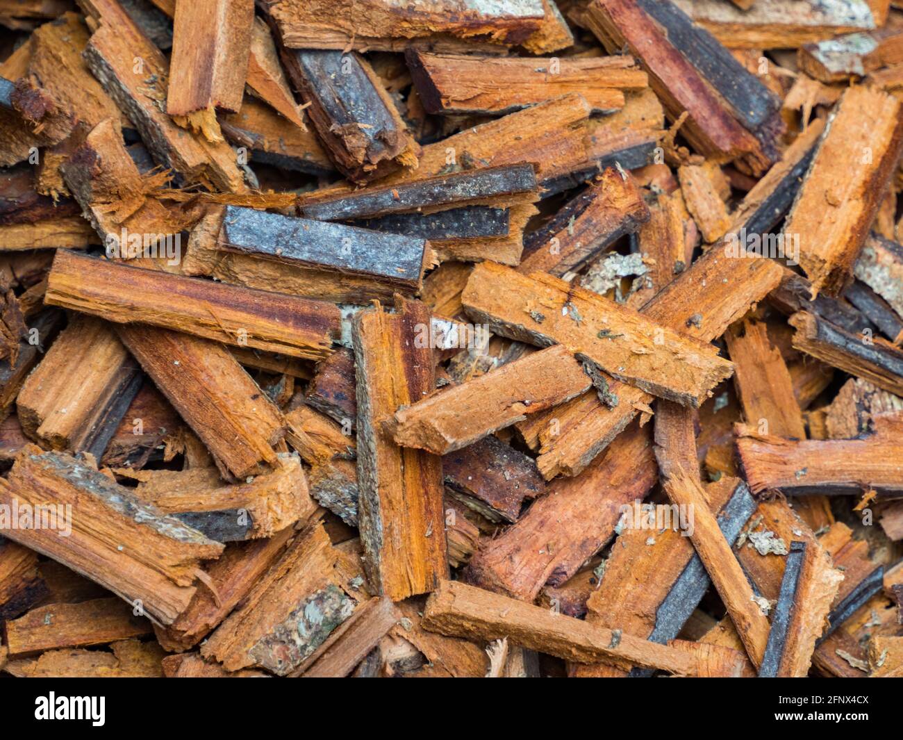 La corteccia di piante provenienti dalle foreste pluviali del Sud America, chiamata 'artiglio di gatto' (uña de gato) è un'erba attribuita alle proprietà medicinali. Il Foto Stock