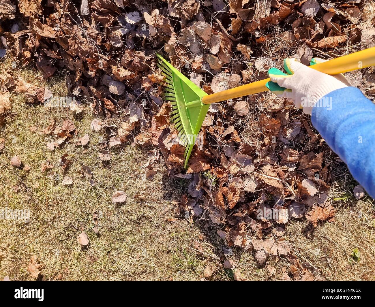 Raccolta di foglie secche. Ripristino ordine in strada. Le foglie cadute  sono raccolte in un mucchio. Rastrello da lavoro per giardiniere Foto stock  - Alamy