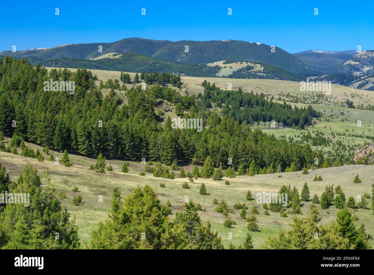 john lunghe montagne ai piedi delle colline vicino a maxville, montana Foto Stock