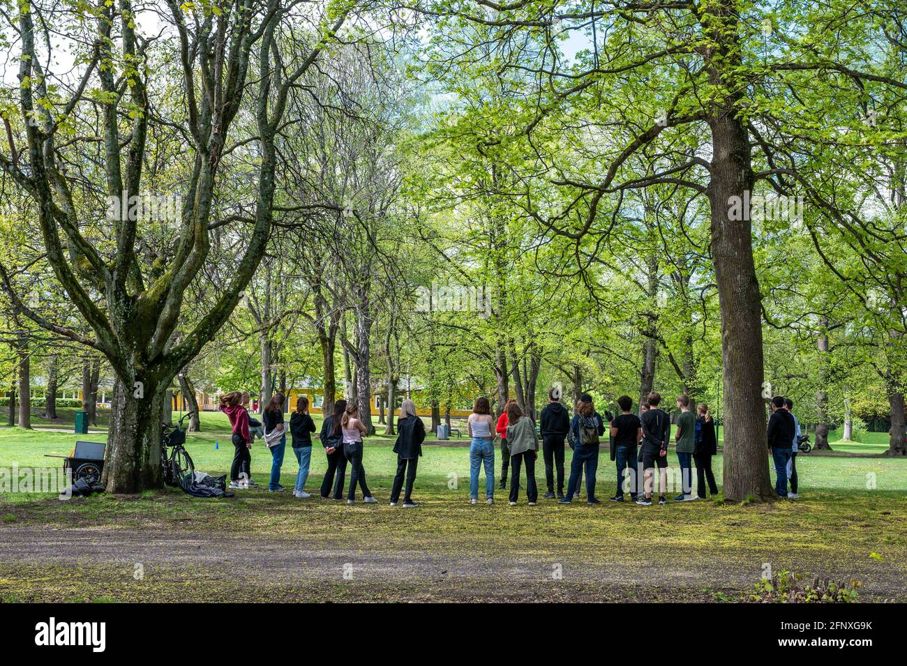 Corso di scuola nel parco cittadino Folkparken a Norrköping, Svezia alla fine di maggio 2021. Foto Stock