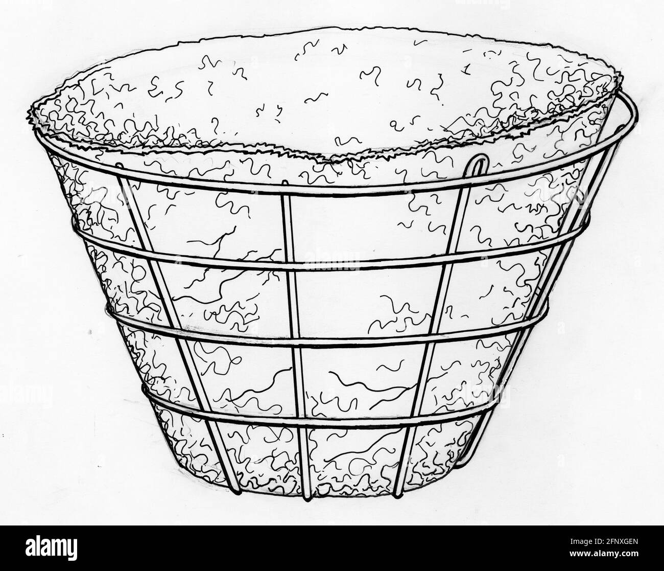 Un disegno di un cesto appeso con un muschio di sfintum rivestimento Foto Stock