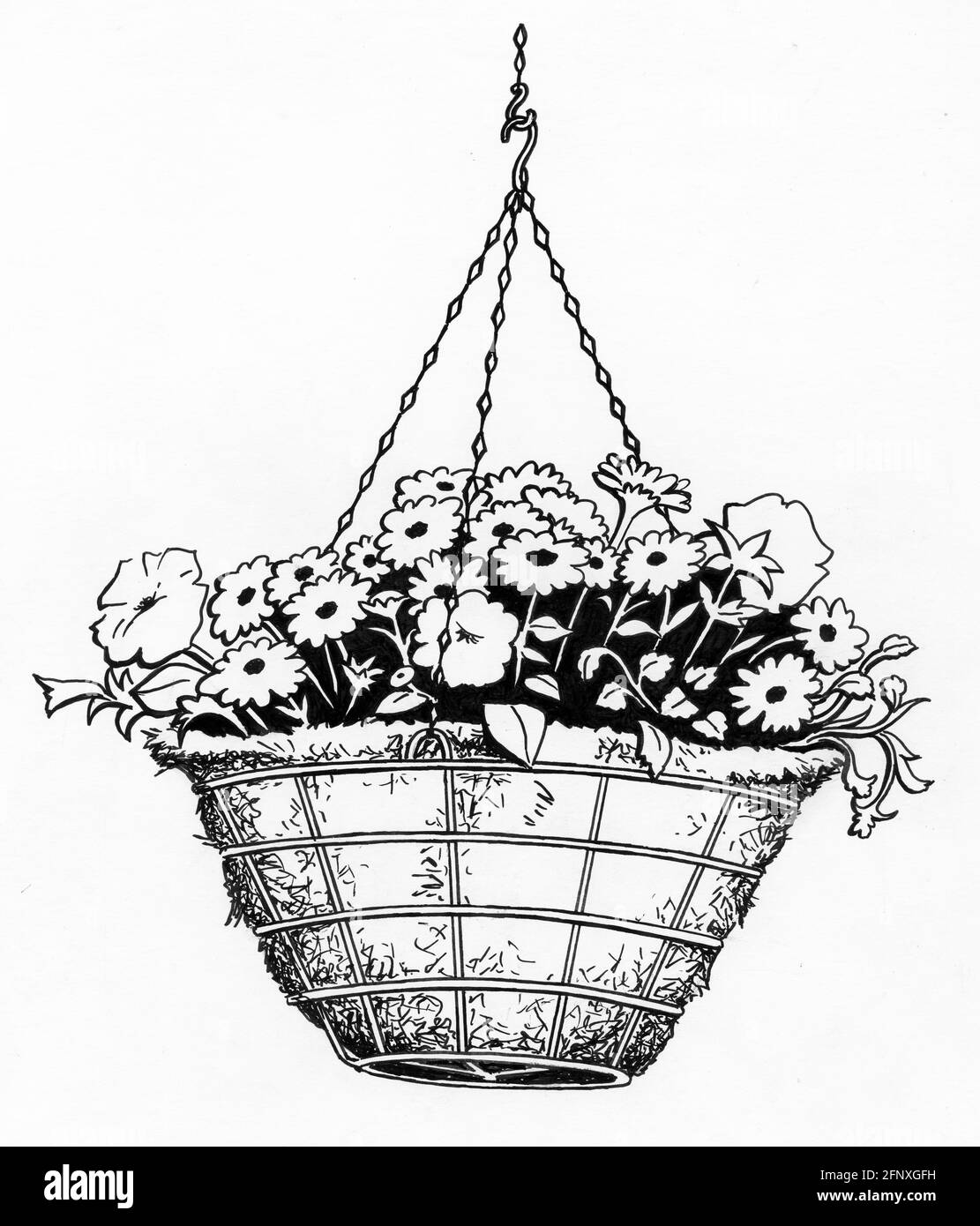 Un disegno di un cesto appeso completato con uno sfagnum rivestimento di muschio e piante giovani che sono state piantate in cima Foto Stock