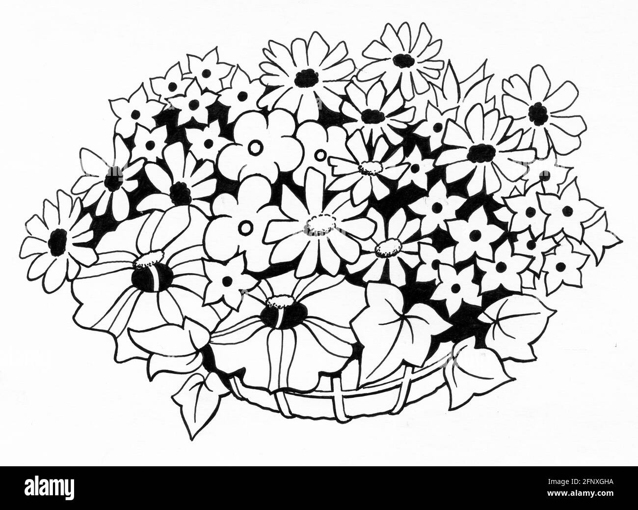 Un disegno di un cesto completato con un muschio di sfagnum liner e piante giovani che sono stati top e side piantato Foto Stock
