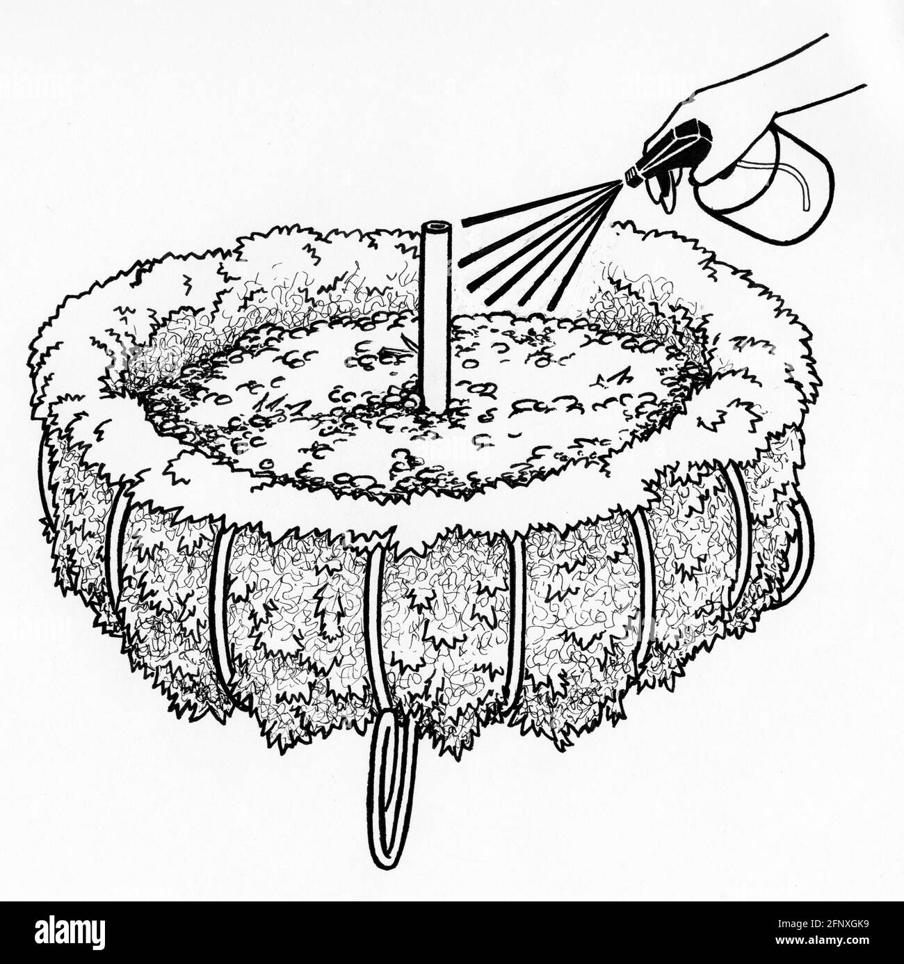 Disegno di un irroratore manuale che spruzza un muschio di sfinglio rivestimento in un grande cestello per una piantatrice a tre livelli Foto Stock