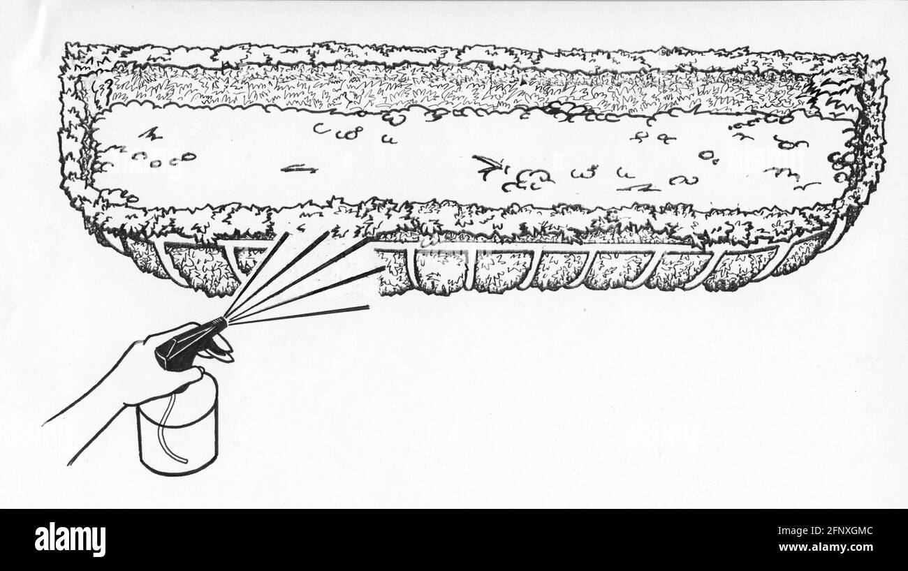 Un disegno di una persona che spruzza un hayrack parzialmente riempito piantatrice e fodera in muschio con acqua Foto Stock
