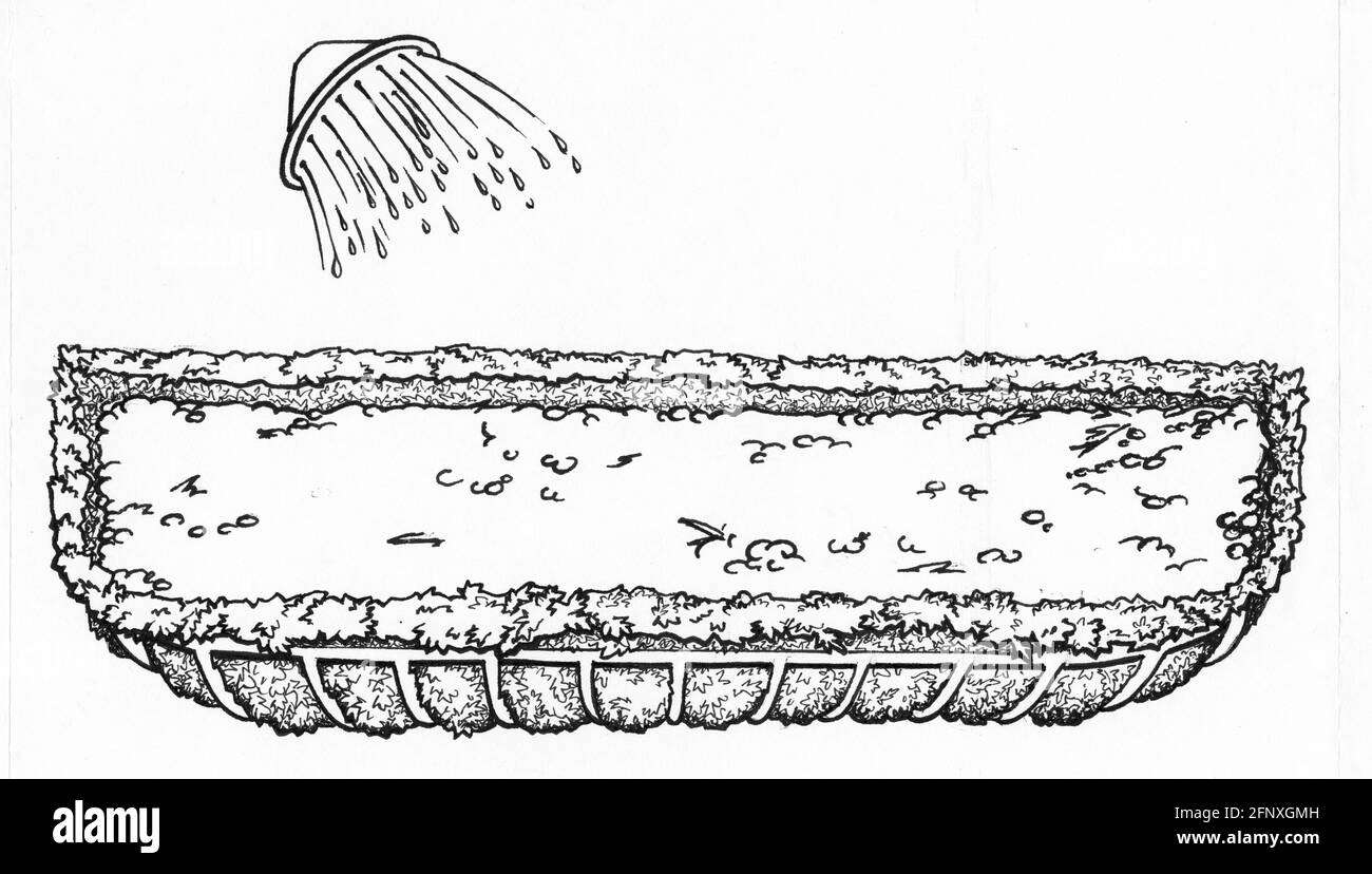 Un disegno di un annaffiatoio può sopra un hayrack riempito piantatrice con rivestimento in muschio di sfagnum Foto Stock