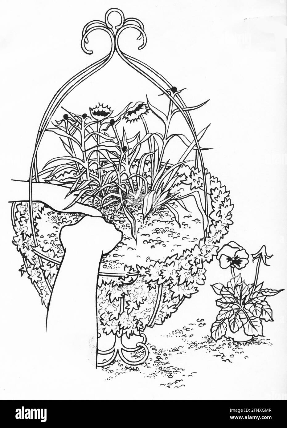 Un disegno di una persona che pianta su un cestino appeso con rivestimento in muschio sfagnato Foto Stock