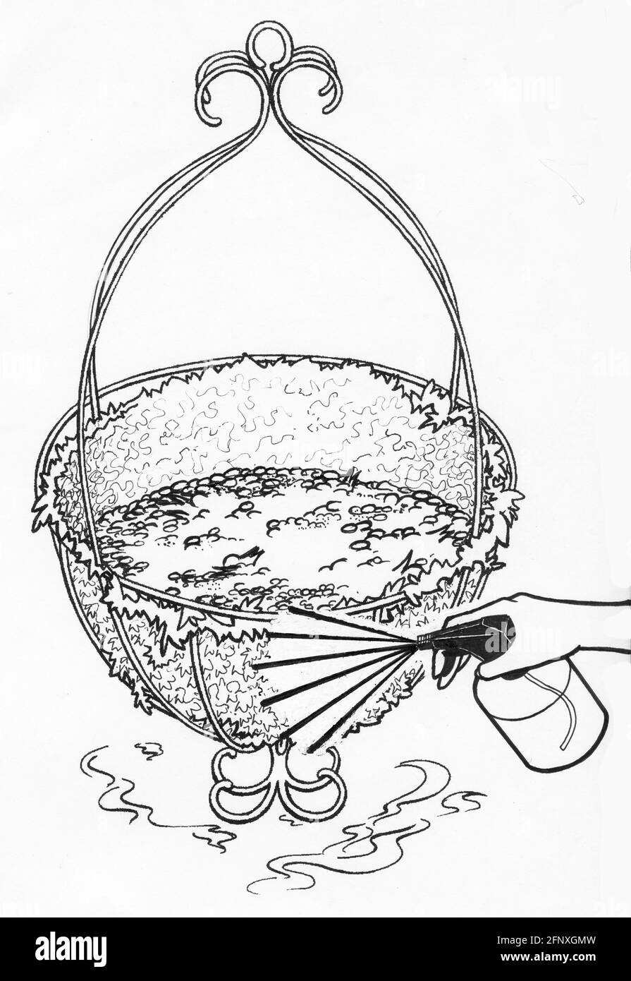 Disegno di una persona che spruzza una piantatrice e muschio liner con acqua Foto Stock