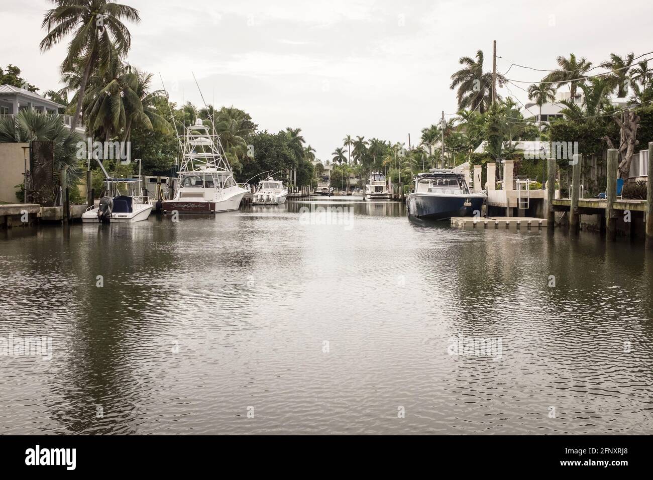 Barche di lusso al loro ormeggi privati al di fuori di case di lusso lungomare a Coconut Grove, Miami, Florida Foto Stock