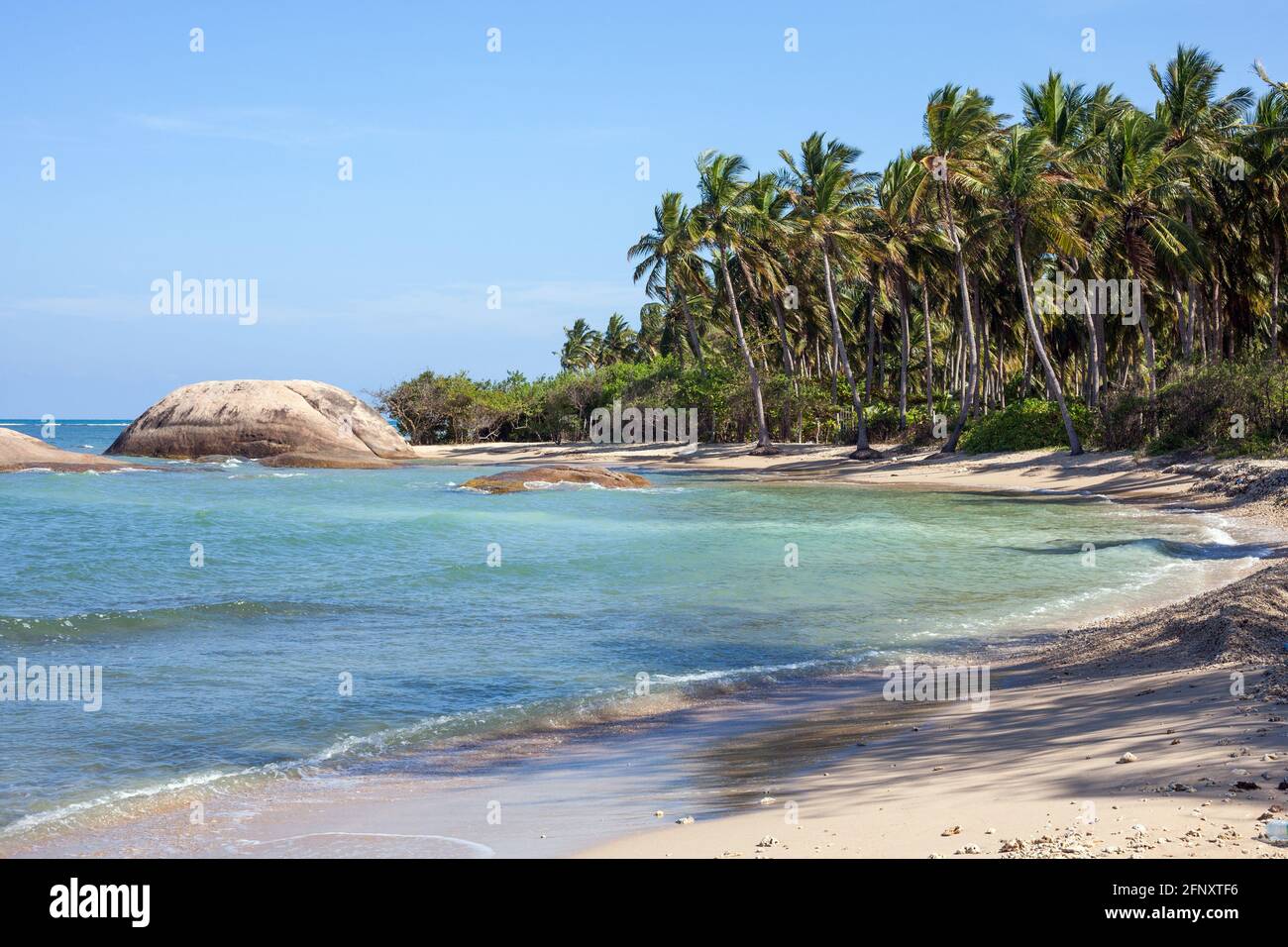 Splendida baia desolata con palme e massi a Pasikuda Beach, Kalkudah, Sri Lanka Foto Stock