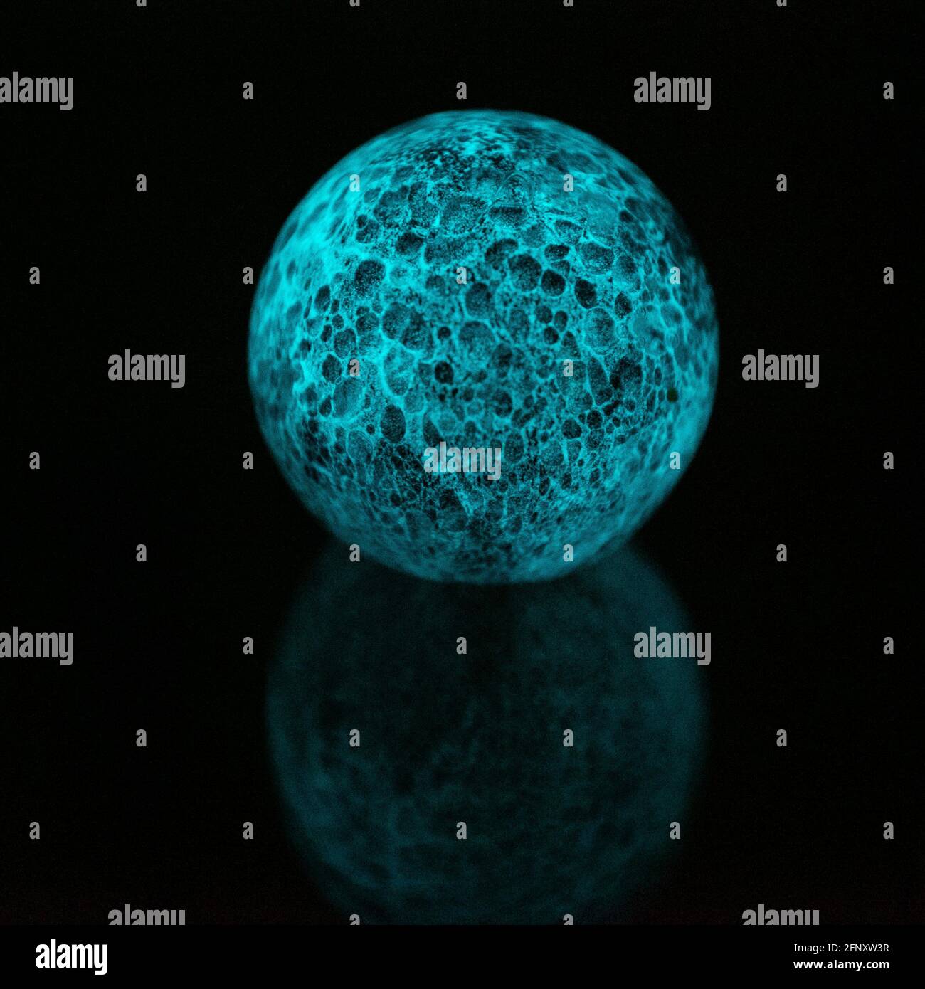 Sfera fosforescente incandescente. Una sfera fosforescente con una struttura simile alla luna è auto-illuminata. Foto Stock