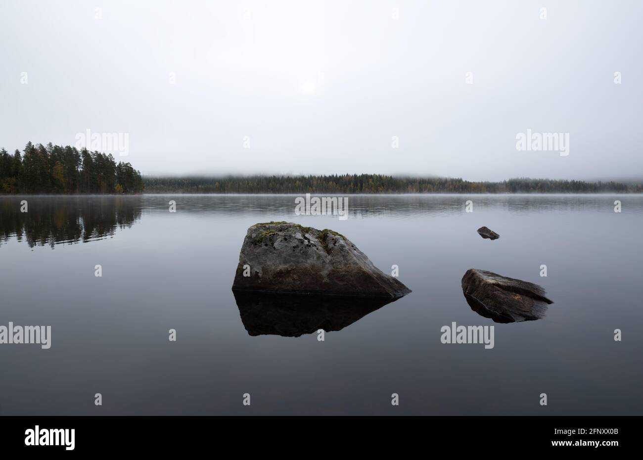 Nebbia su un lago naturale calmo in autunno in svezia Foto Stock