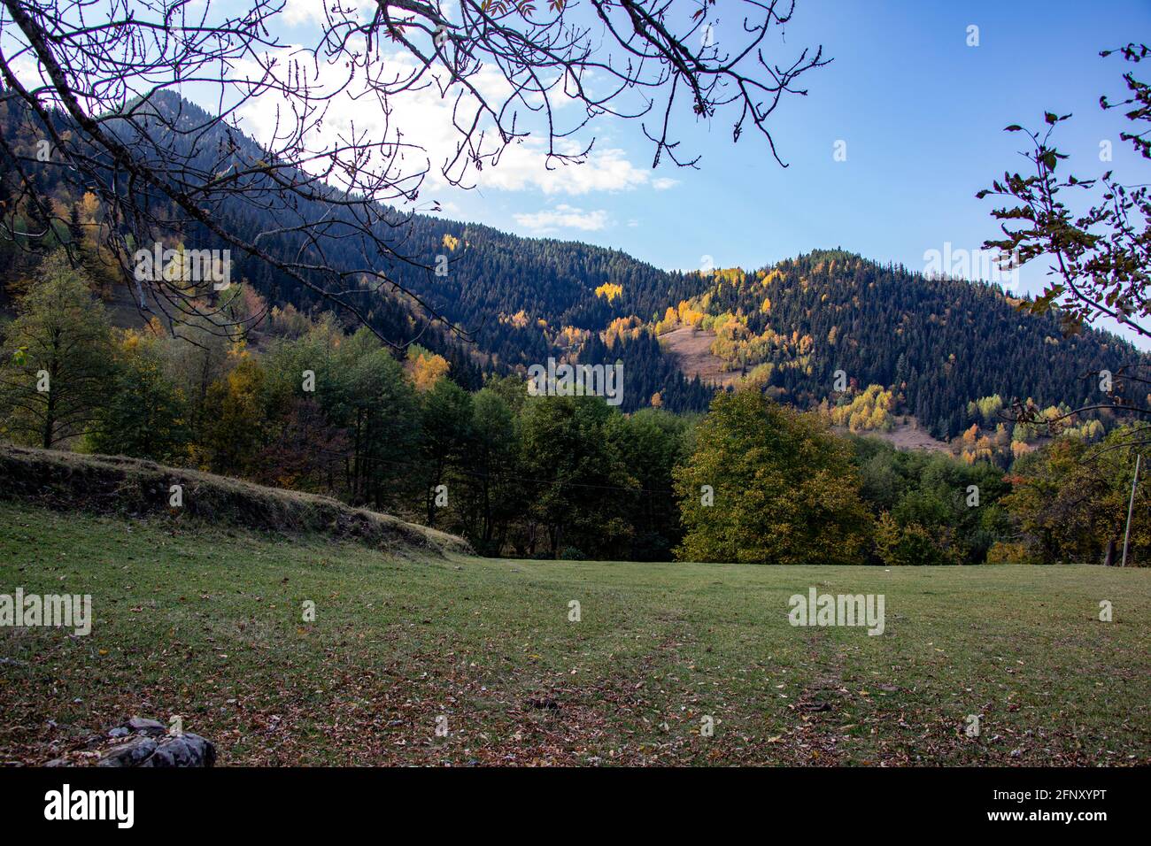 Foto spettacolare di alta qualità di una valle piena di alberi, Turchia. Foto Stock