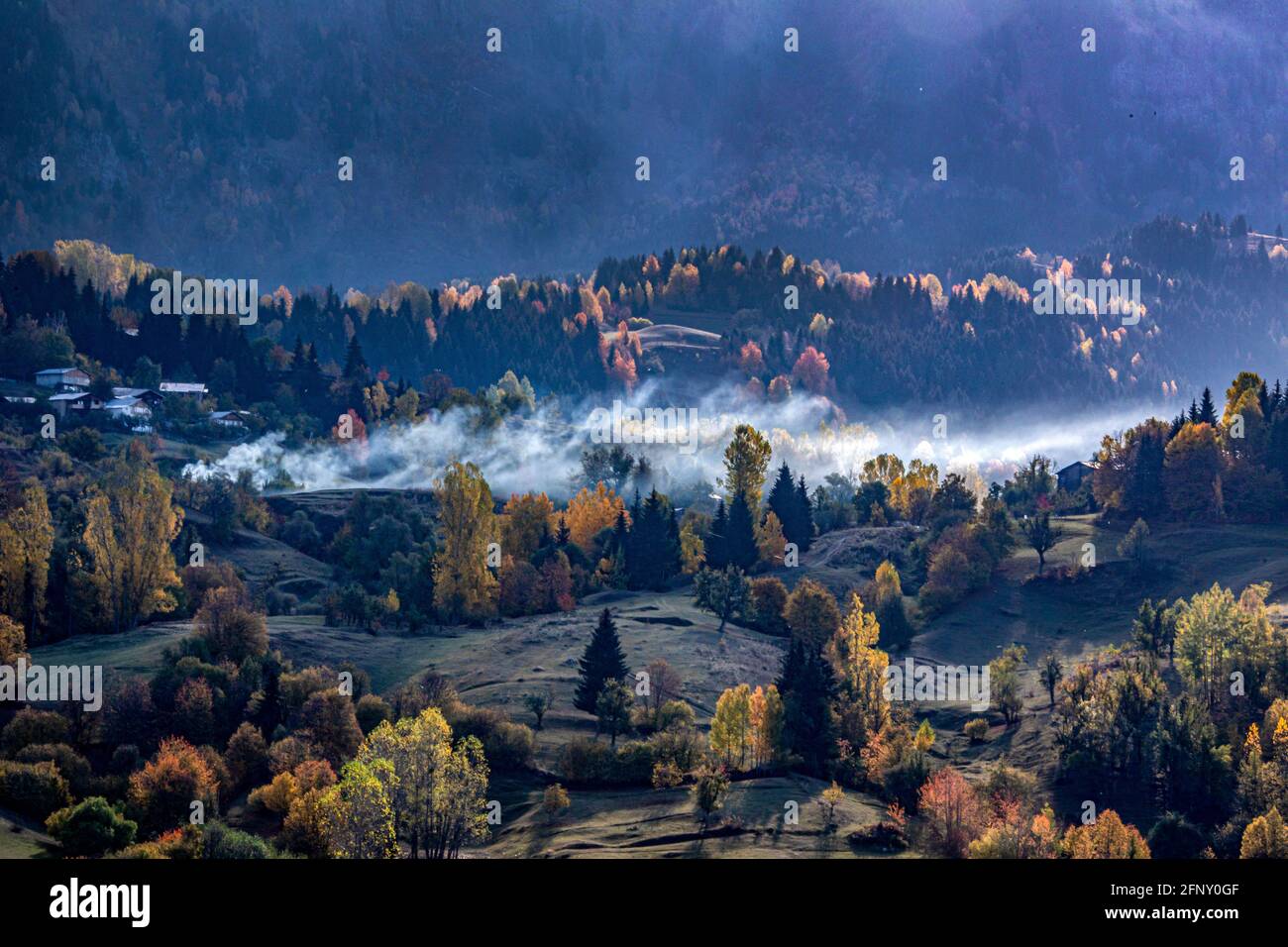 Foto spettacolare di alta qualità di una valle piena di alberi, Turchia. Foto Stock