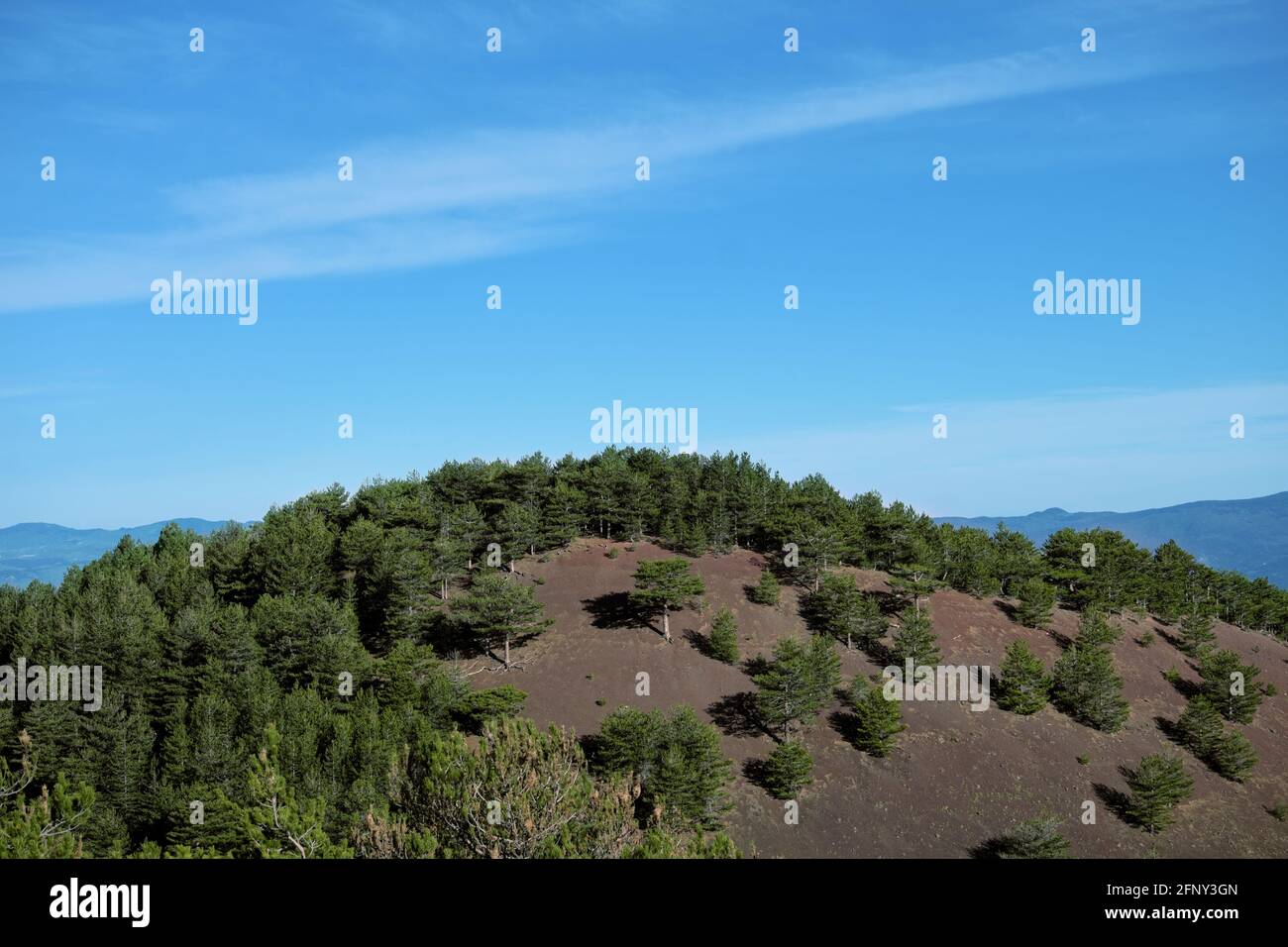 Cielo blu in Sicilia alberi di pino di montagna in cima Un vecchio vulcano nel Parco dell'Etna Foto Stock