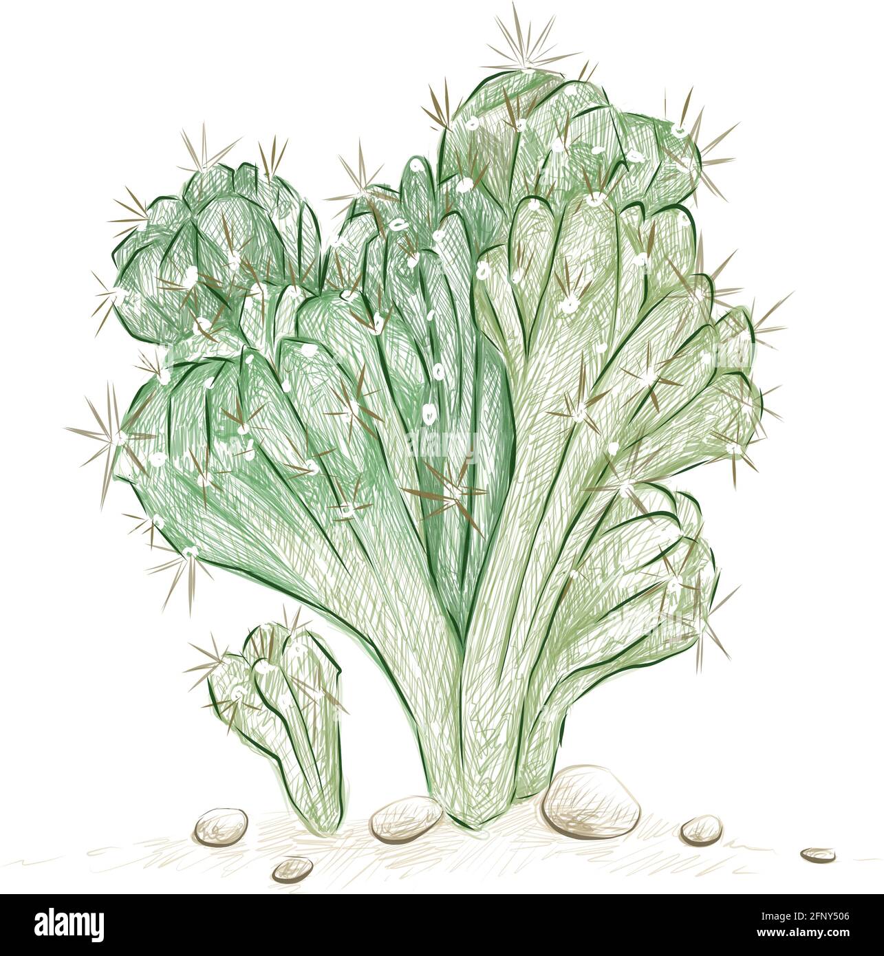 Illustrazione schizzo disegnato a mano di Cereus Forbesii Monstrose o Ming Thing Cactus. Piante succulente con spine taglienti per la decorazione del giardino. Illustrazione Vettoriale