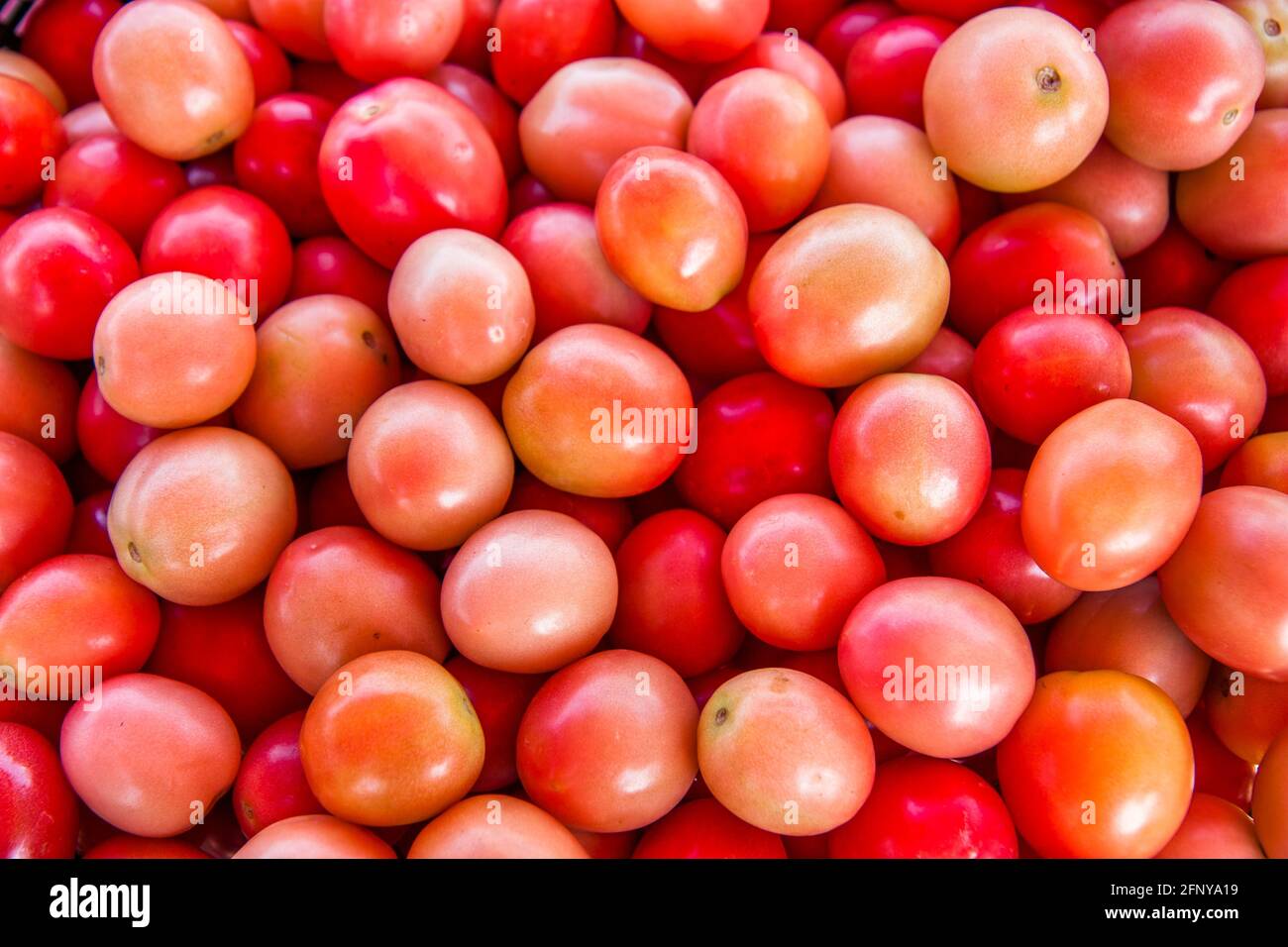 Tomatos freschi nel mercato locale. Foto Stock