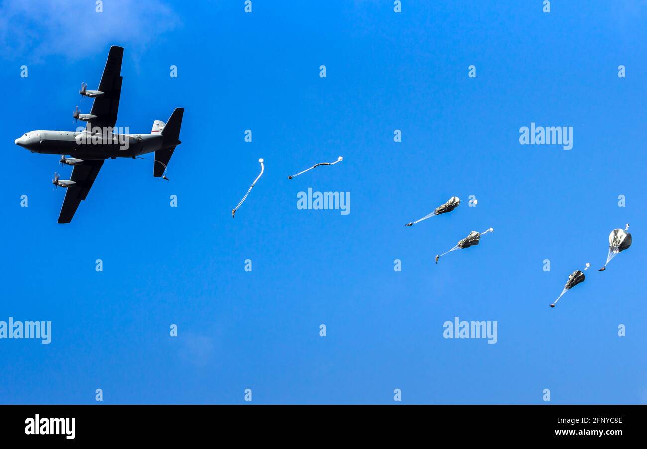 Paracadutisti militari che saltano da un aereo dell'Aeronautica militare C-130 Hercules durante l'operazione Falcon Leap. Veluwe, Paesi Bassi - Septemb Foto Stock