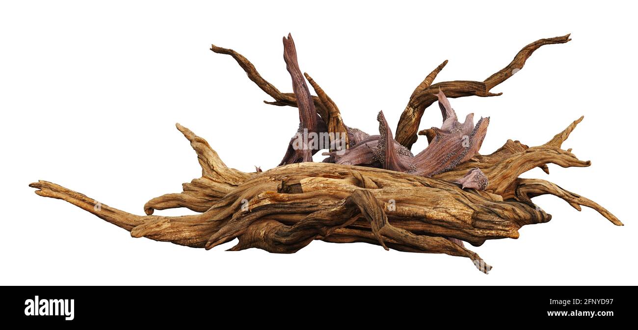 driftwood, pila di rami invecchiati isolati su sfondo bianco (rendering 3d) Foto Stock