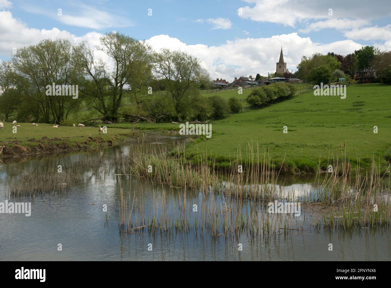 The River Swift at Churchover, Warwickshire, Inghilterra, Regno Unito Foto Stock