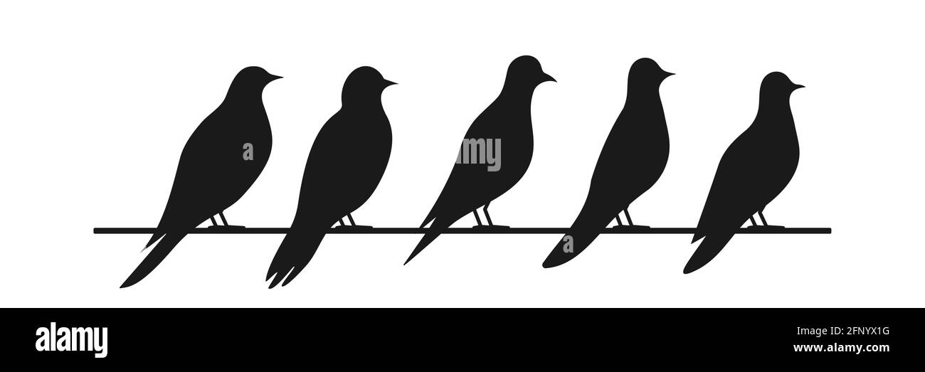 Set di icone uccello. Collezione di silhouette di uccelli neri. Vettore isolato su bianco Illustrazione Vettoriale