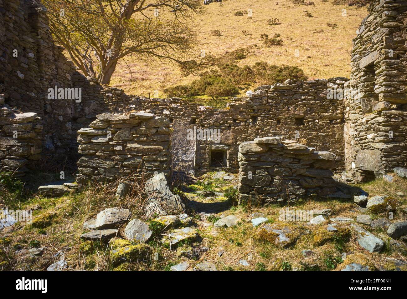Edificio abbandonato della fattoria di Tholtan a Glen Dhoo, Ballaugh, Isola di Man Foto Stock