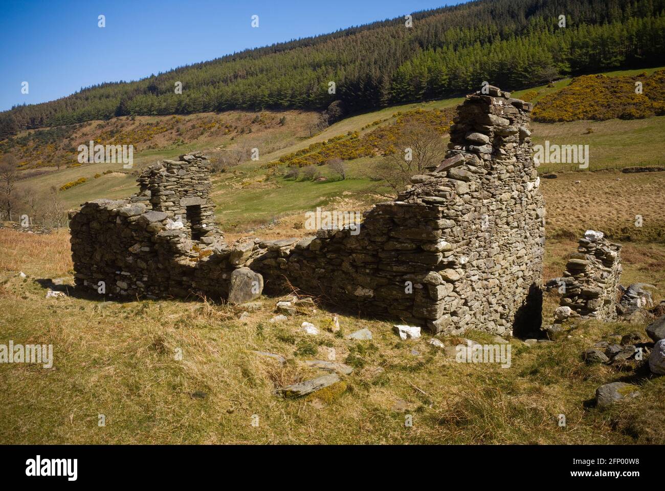 Edificio abbandonato della fattoria di Tholtan a Glen Dhoo, Ballaugh, Isola di Man con piantagione di alberi in background Foto Stock