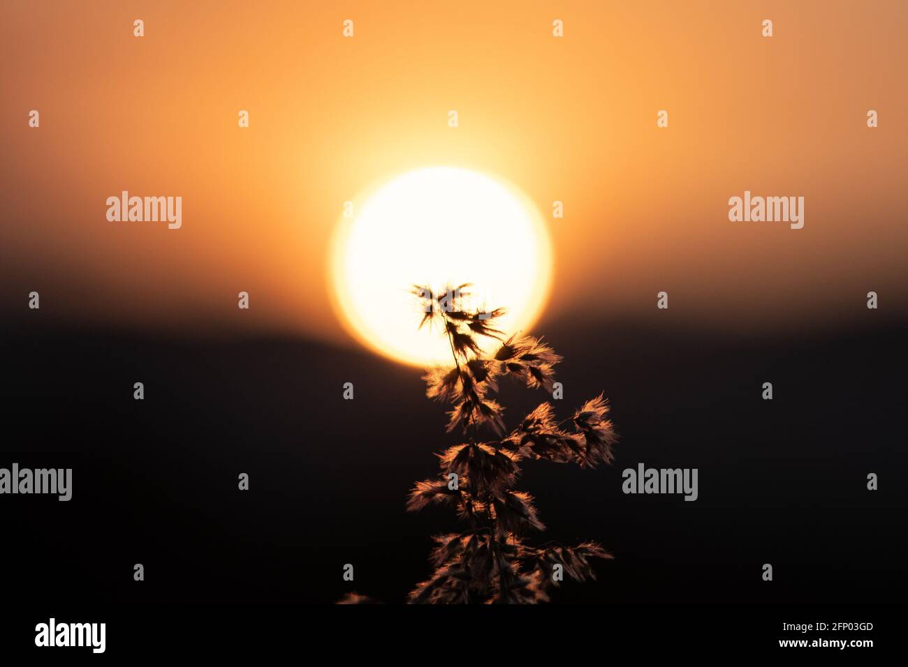 Bel tramonto Foto Stock