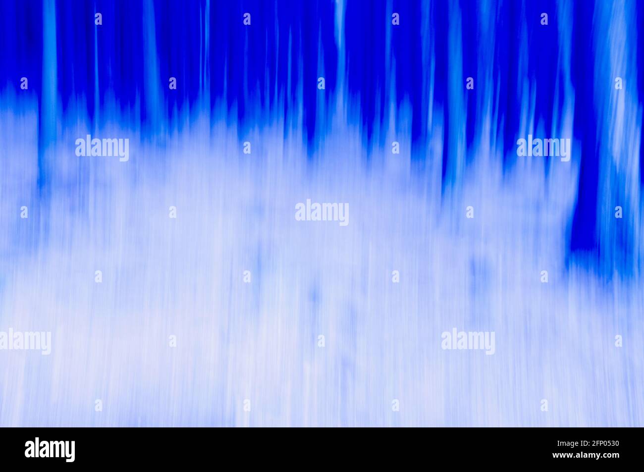 Sfocatura in movimento verticale degli alberi nella foresta Foto Stock