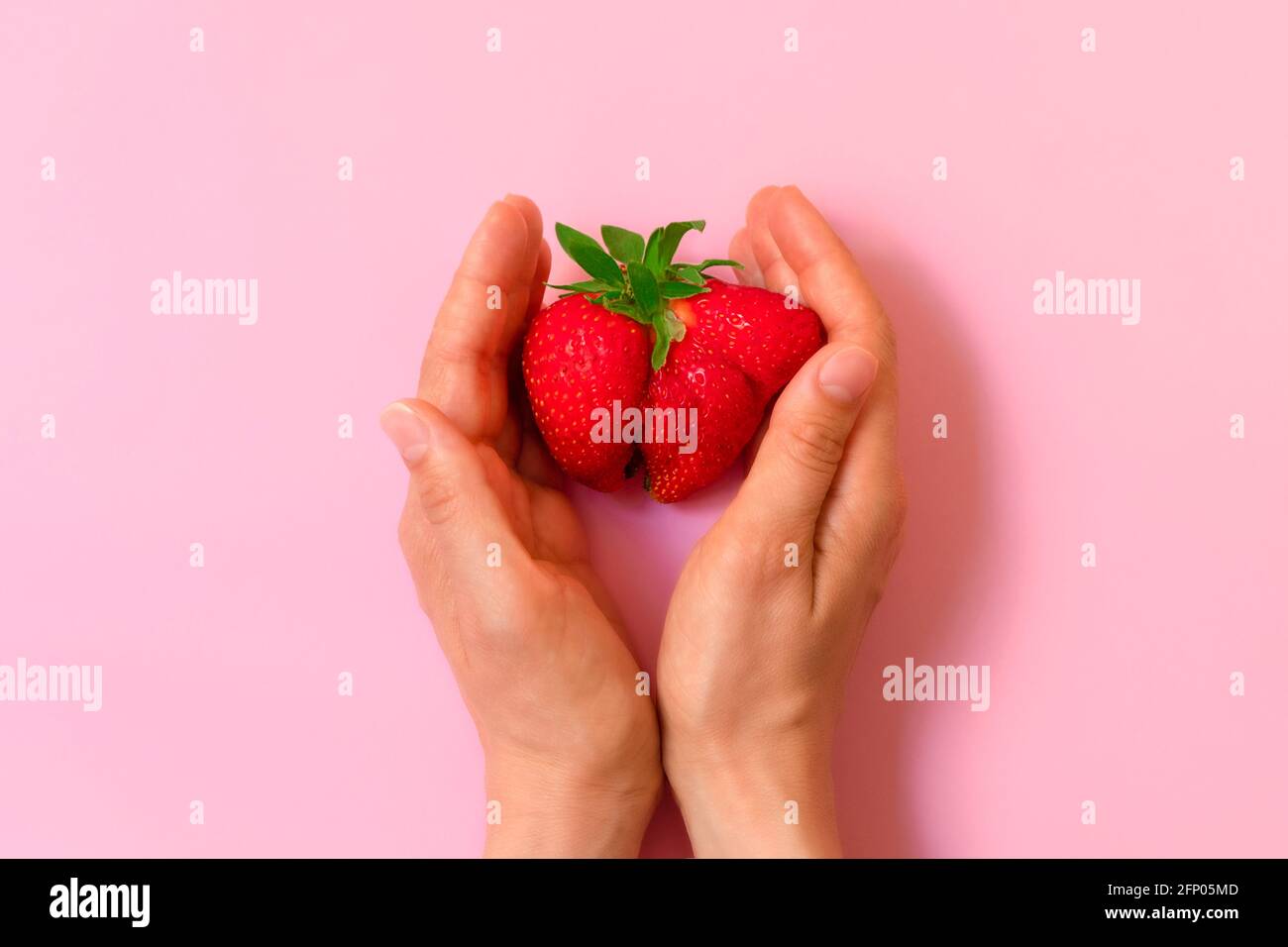 Sopra la vista delle mani della donna che tengono brutta fragola divertente su sfondo rosa pastello. Concetto di cibo brutto Foto Stock
