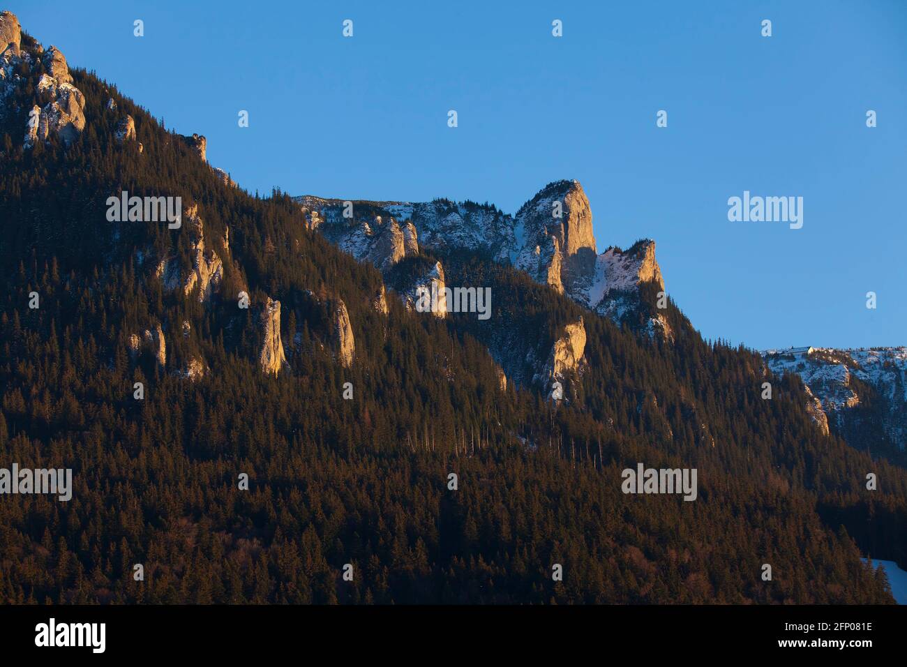 Montagna rocciosa nei Carpazi rumeni. Ceahlau Foto Stock