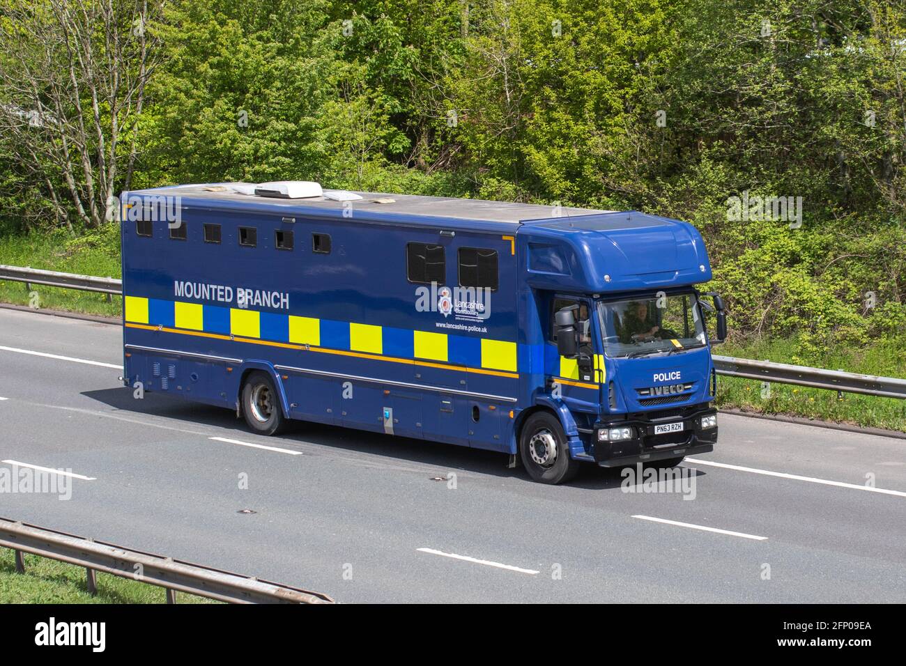Lancashire Constabulary Grande polizia crine van; Coach costruito van conversione equino trasporto animale viaggiare sull'autostrada M61, Lancashire, Regno Unito Foto Stock
