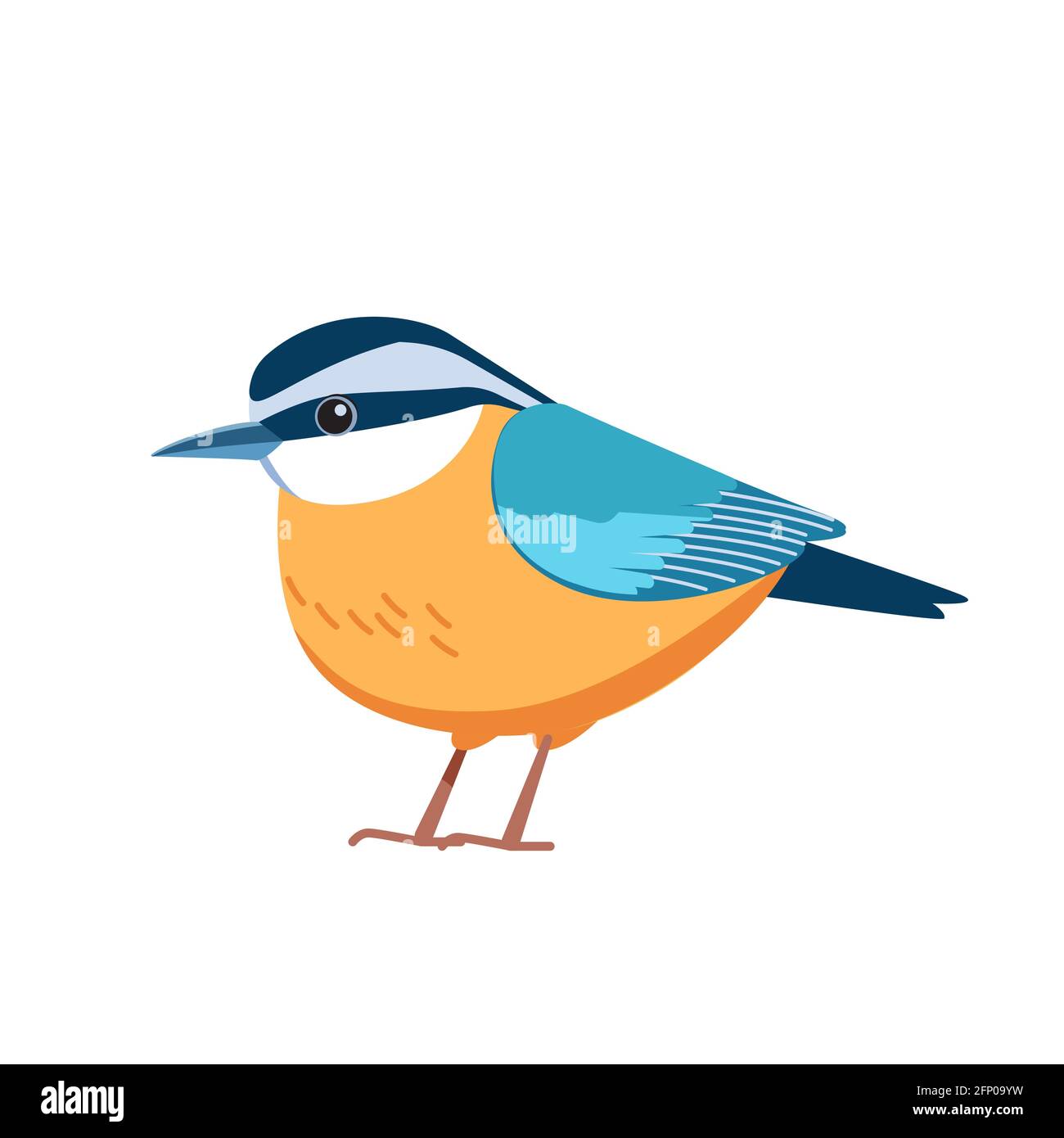 Il nuthatch rosso-breasted è un piccolo songbird. Nome scientifico Sitta canadensis. Passerine cartone animato uccello stile piatto bellissimo carattere di ornitologia Illustrazione Vettoriale