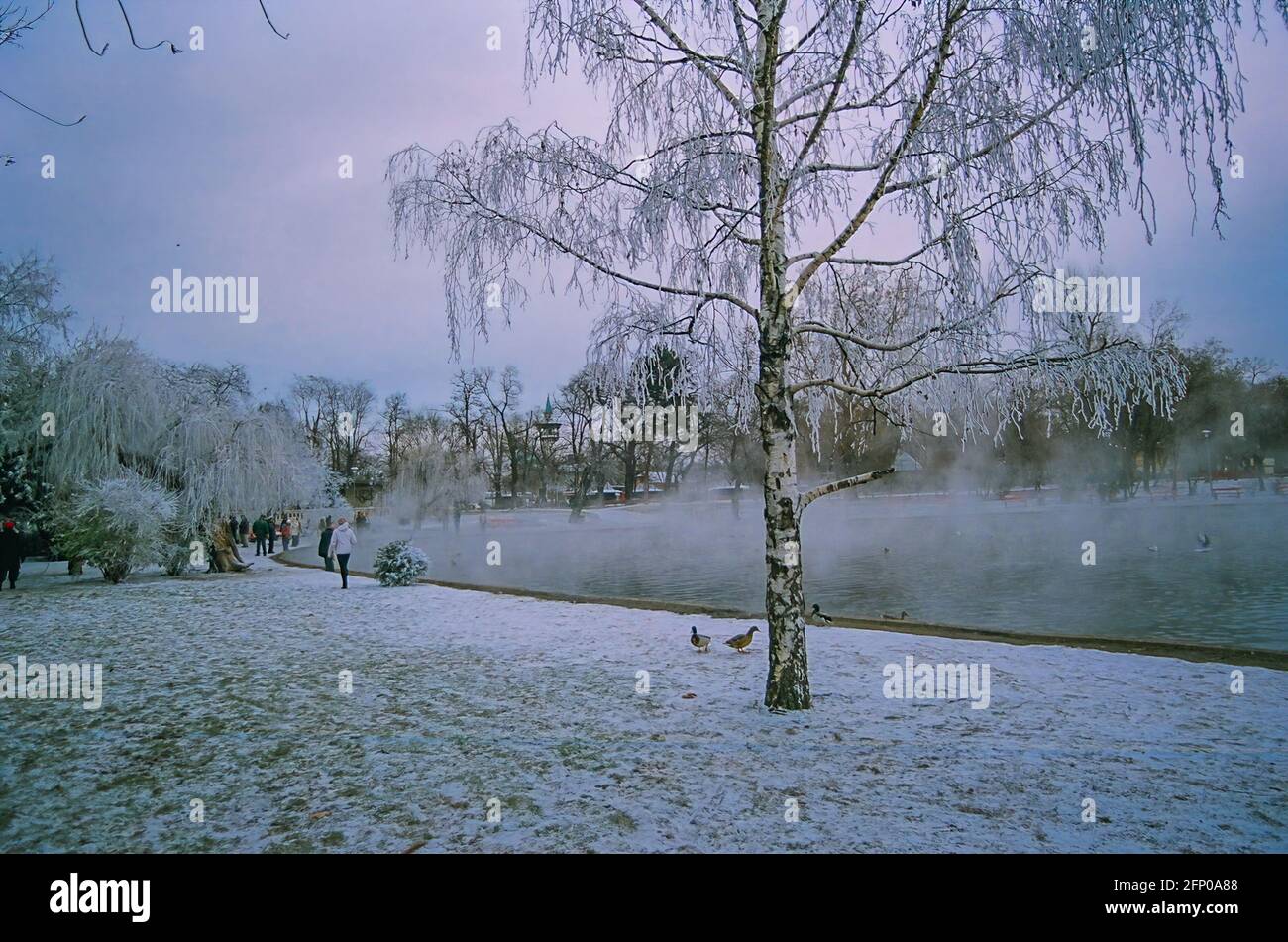 Budapest, Ungheria - 30 dicembre 2008: Scenario invernale del Parco cittadino (Varosliget), con piscina d'acqua calda e visitatori, a Budapest, Ungheria Foto Stock