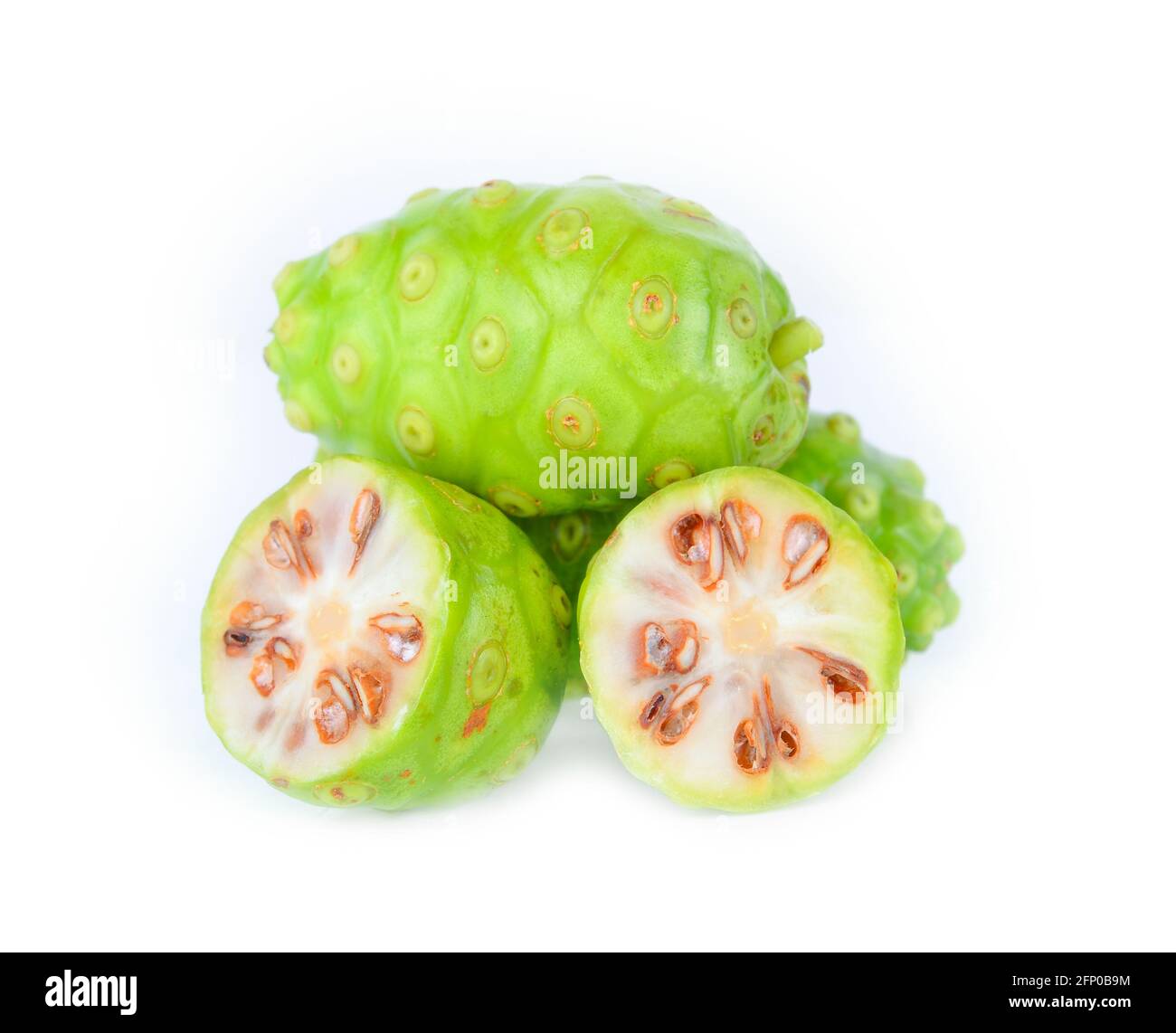 Morinda citrifolia su sfondo bianco Foto Stock