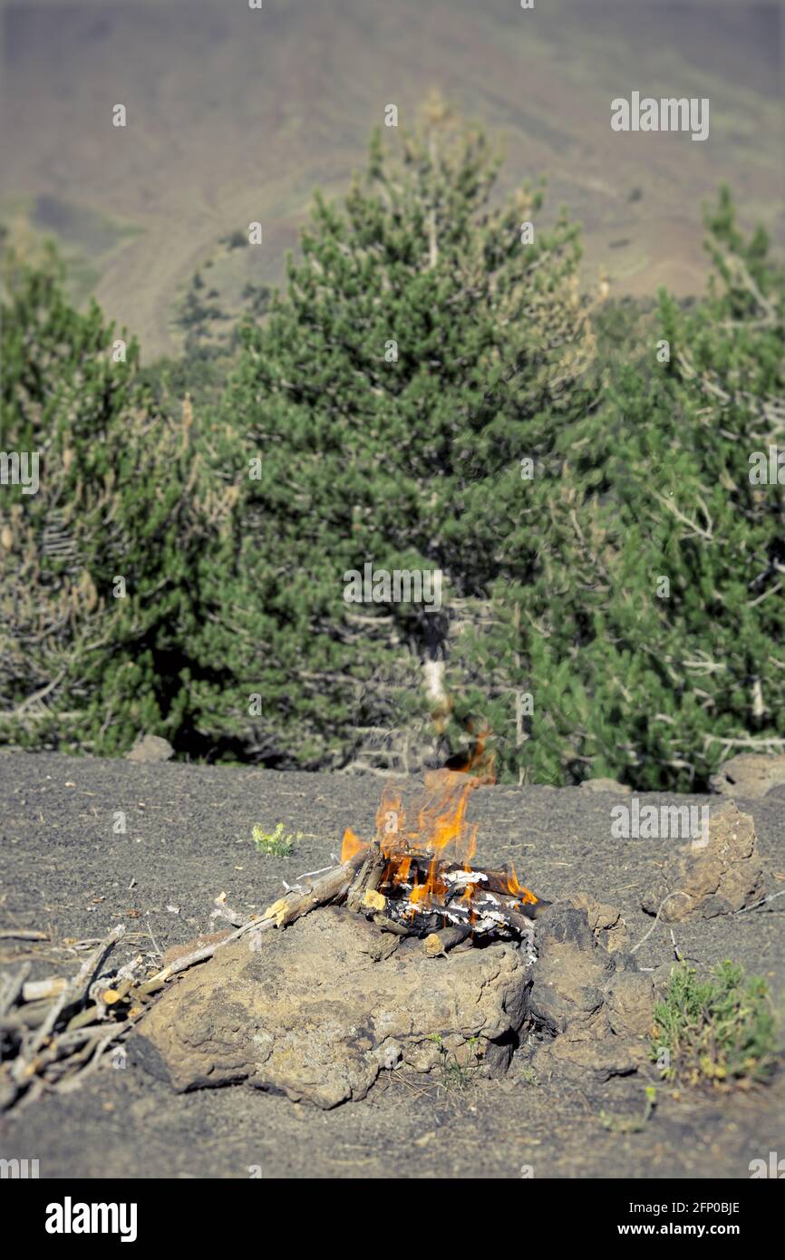 fiamme di falò in montagna sulla pineta di backgroud Foto Stock