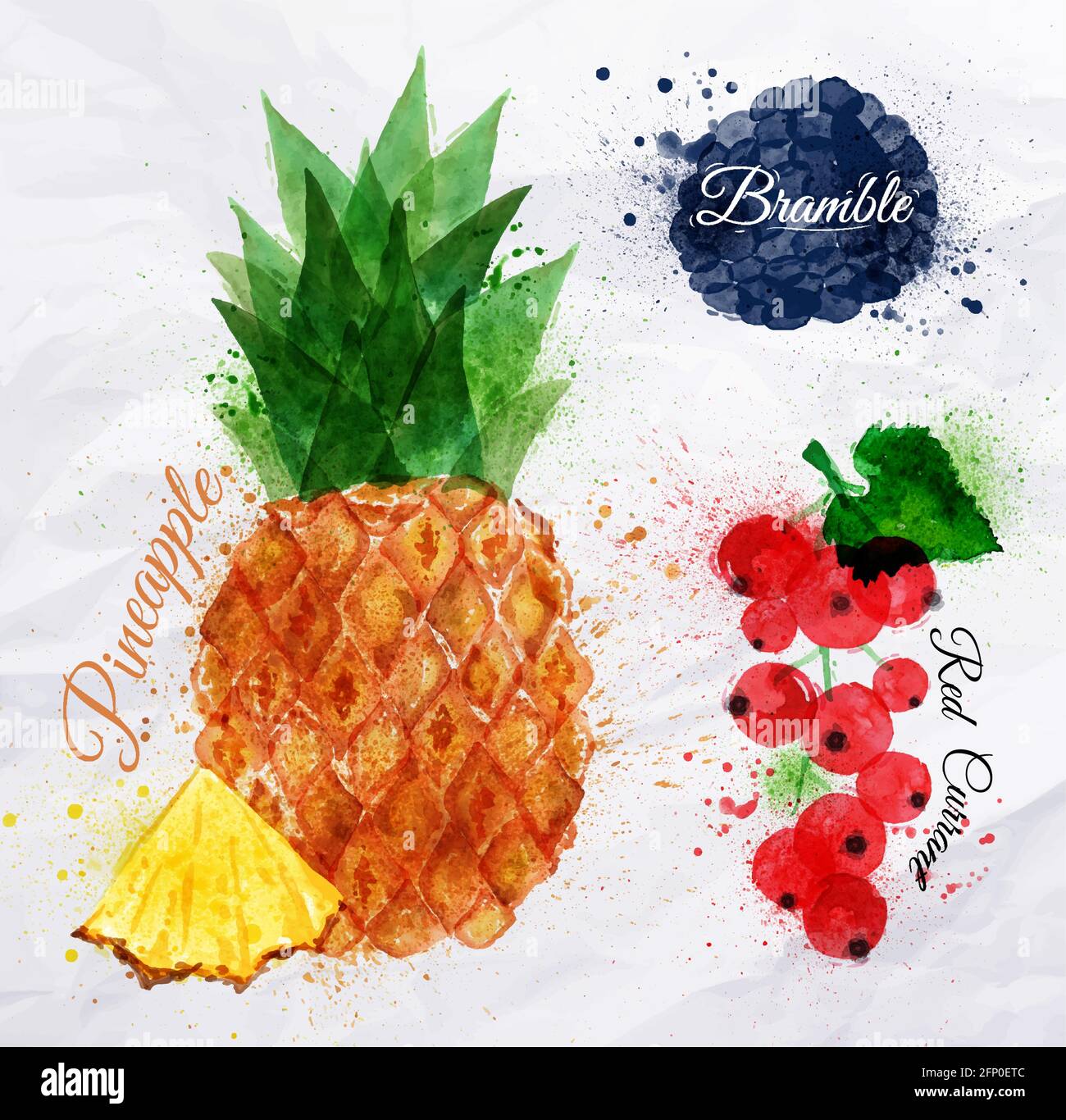 Set di frutta trainato acquerello blot e macchie con uno spray ananas, bramble, ribes rosso Illustrazione Vettoriale