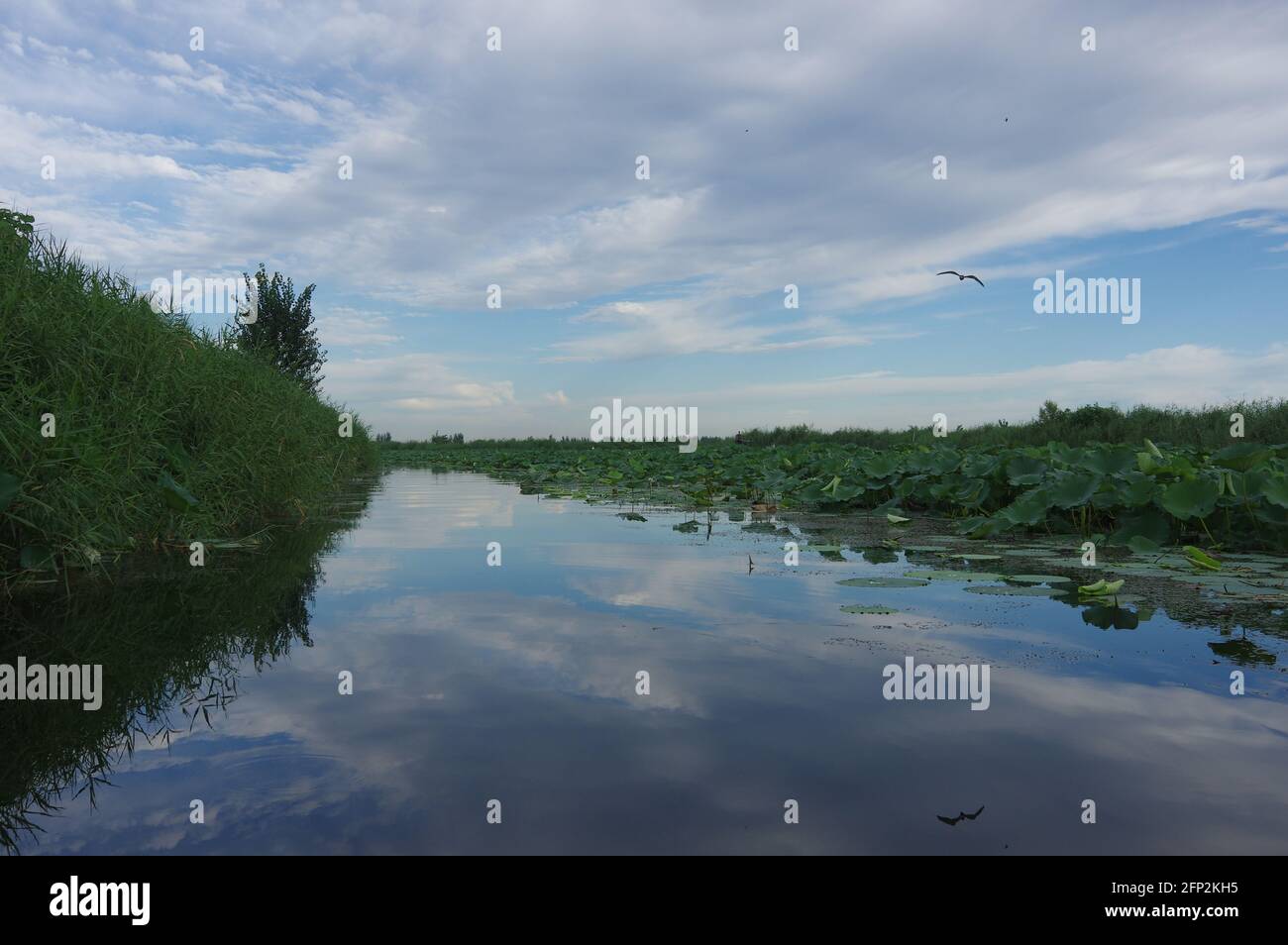 Nuova area di Xiongan, Cina Foto Stock