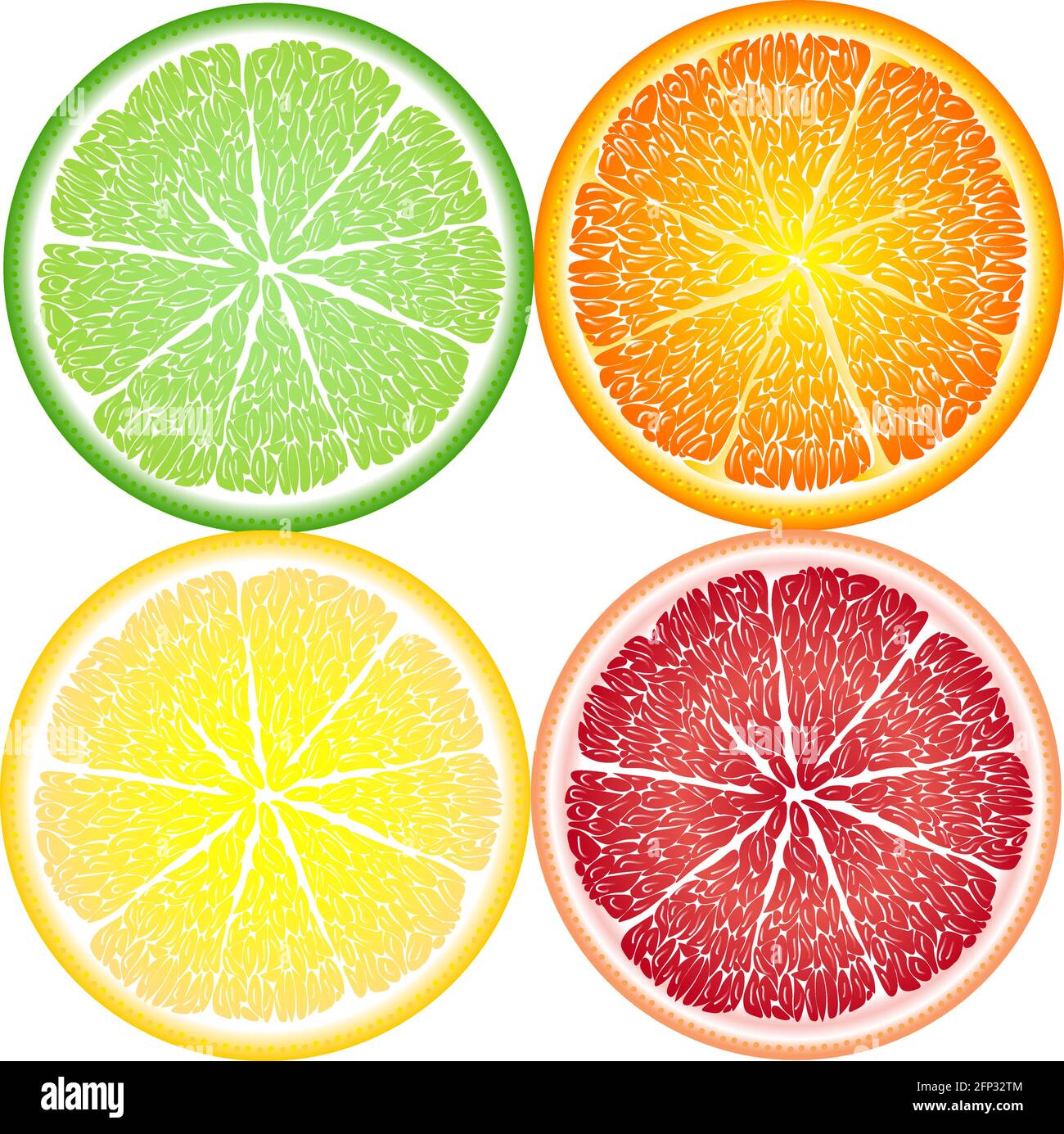 Arancio, limone, lime e pompelmo in primo piano, agrumi Illustrazione Vettoriale