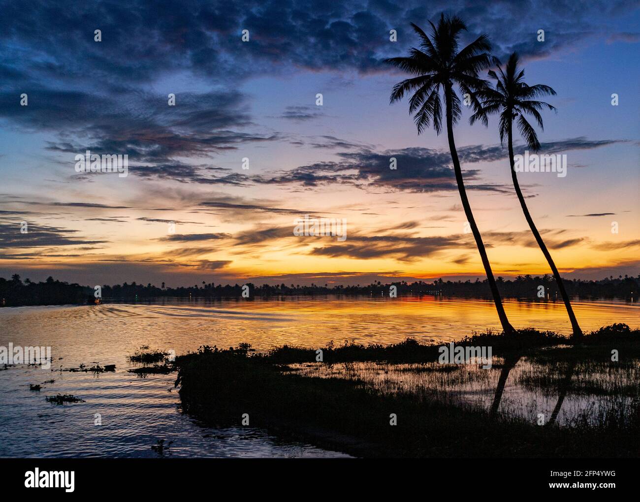 Crepato sulle vie navigabili interne del Kerala backwaters, una rete di lagune salmastre e laghi che giacciono parallelamente alla costa malabarese dello stato di Kera Foto Stock