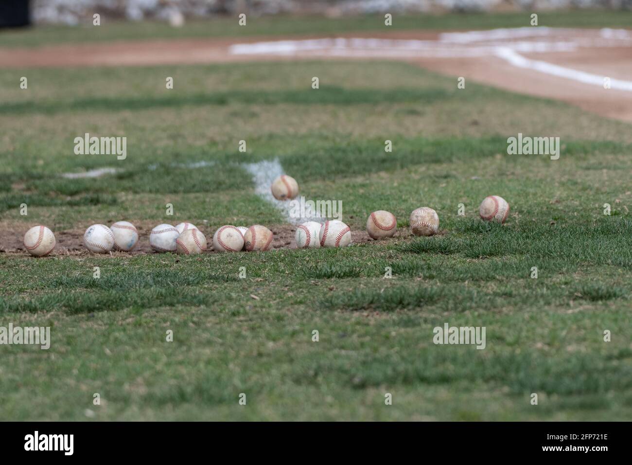 Erba sul campo disseminata di una varietà di palle di base con tutte le cuciture che mostrano. Foto Stock