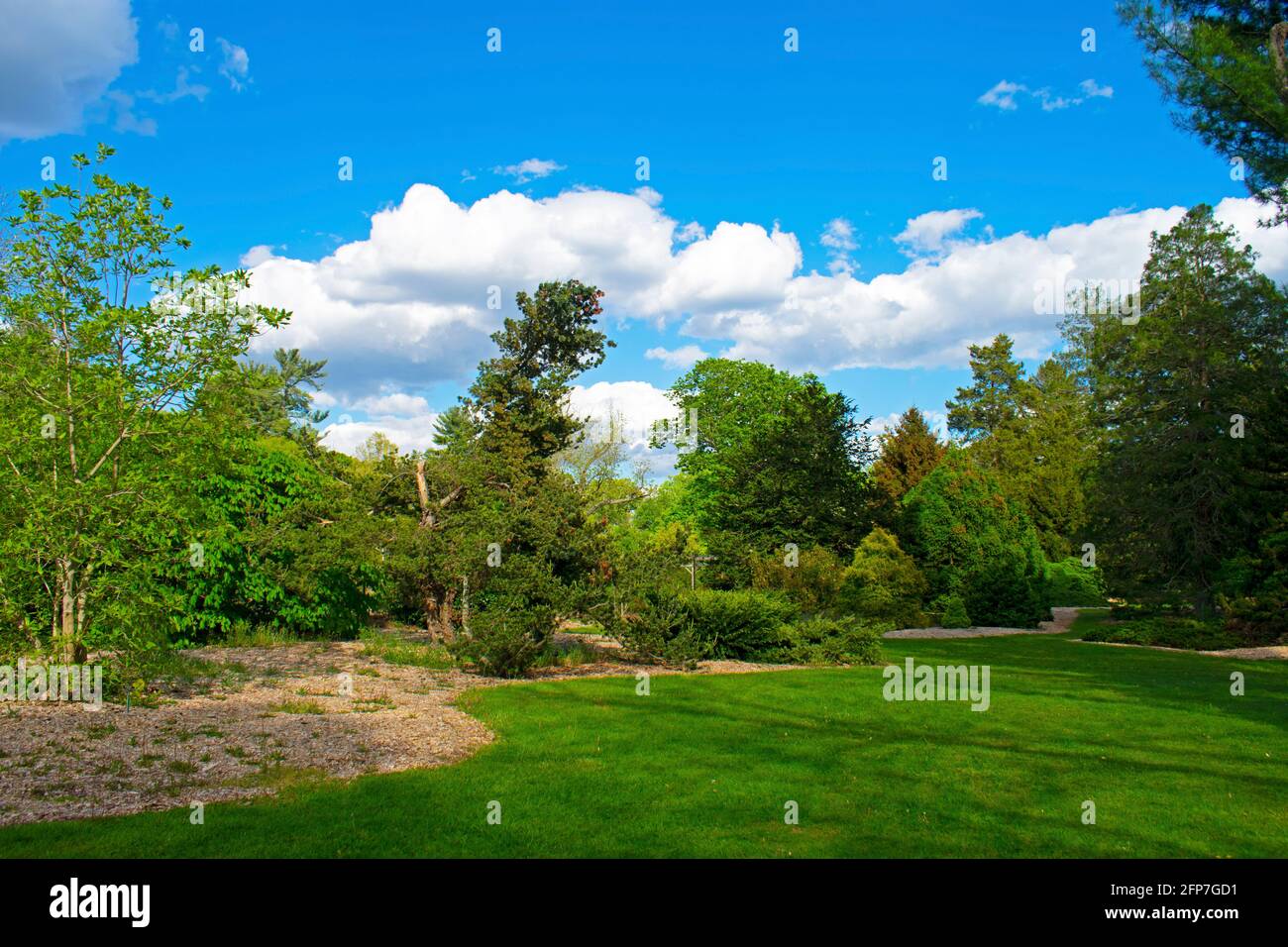 Parco idilliaco (Colonial Park, New Jersey) in una calda giornata primaverile con cielo limpido e alcune nuvole di cumuli Foto Stock