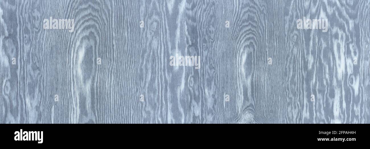 Legno grigio-blu a grana intensa in primo piano panoramico Foto Stock Legno grigio-blu a grana intensa in primo piano panoramico Foto Stock