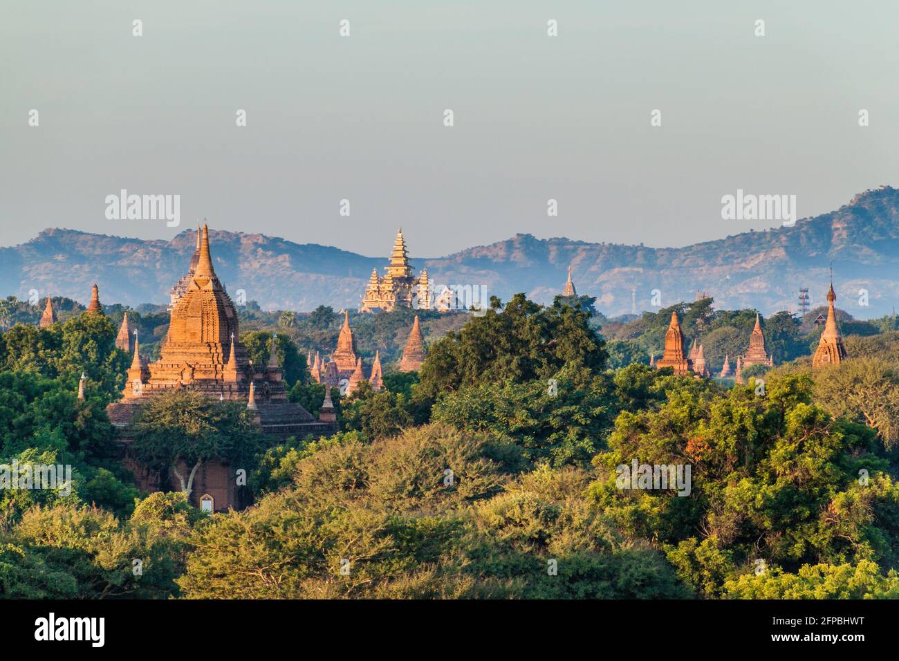 Skyline dei templi di Bagan, Myanmar Foto Stock