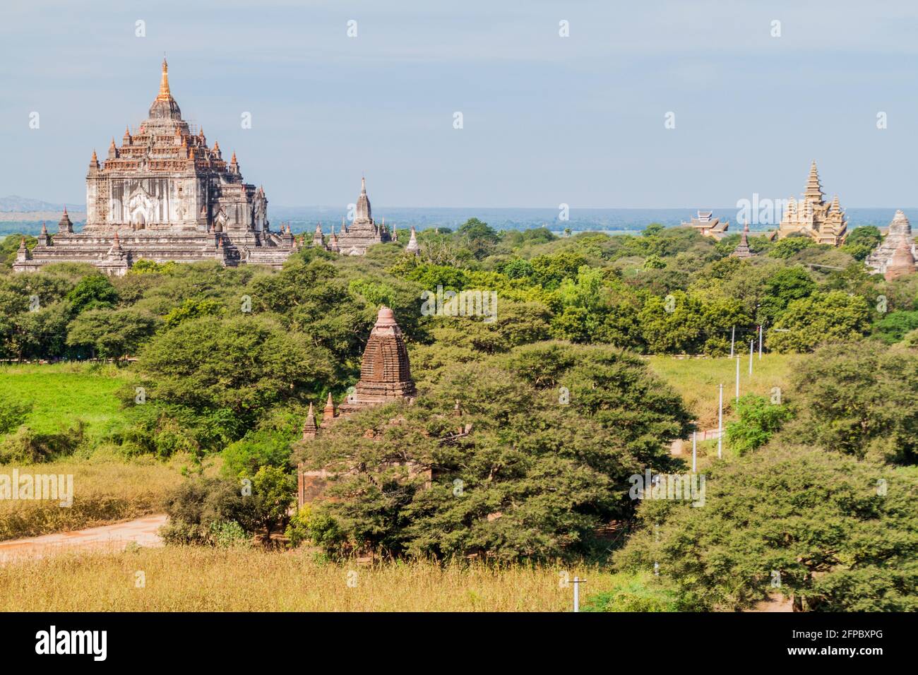 Skyline dei templi di Bagan, Myanmar. Tempio di Thatbyinnyu sulla sinistra. Foto Stock