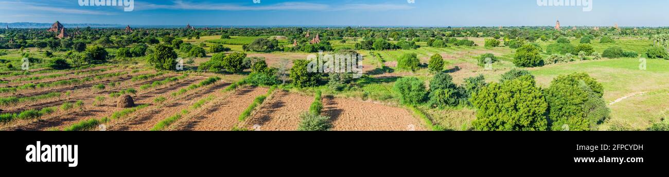 Skyline dei templi di Bagan, Myanmar Foto Stock