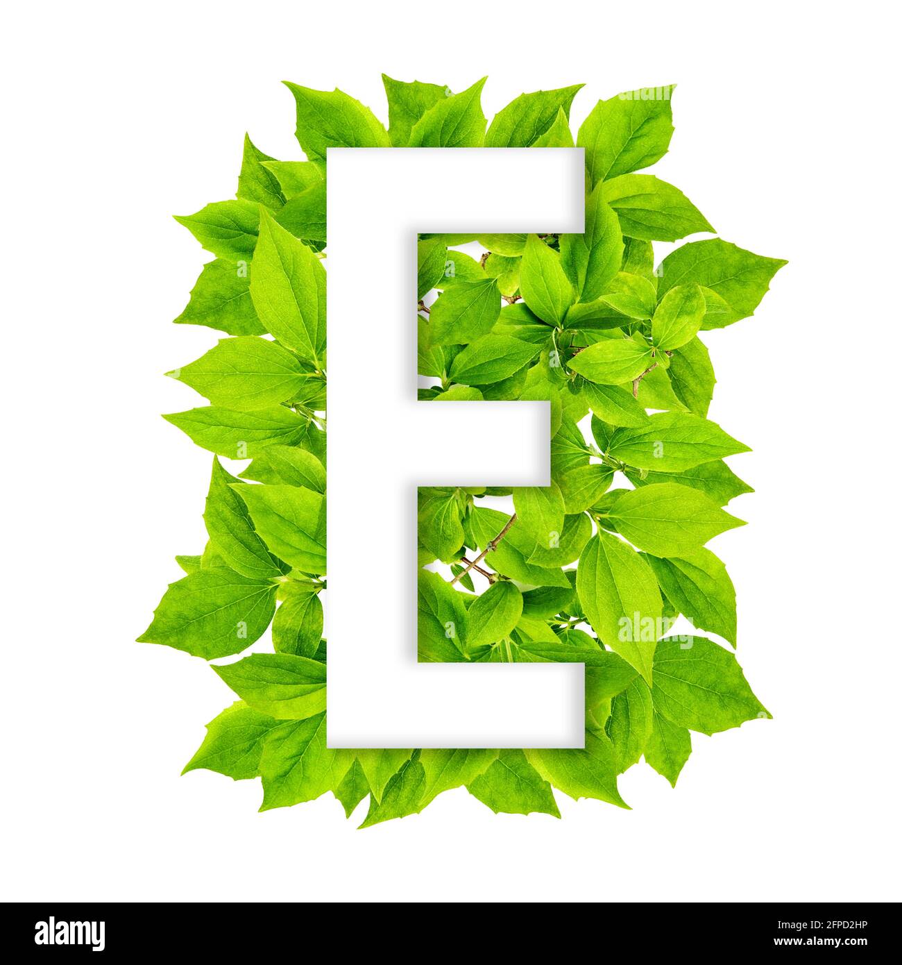 Lettera e con sfondo verde delle foglie. ABC alfabeto floreale Foto Stock