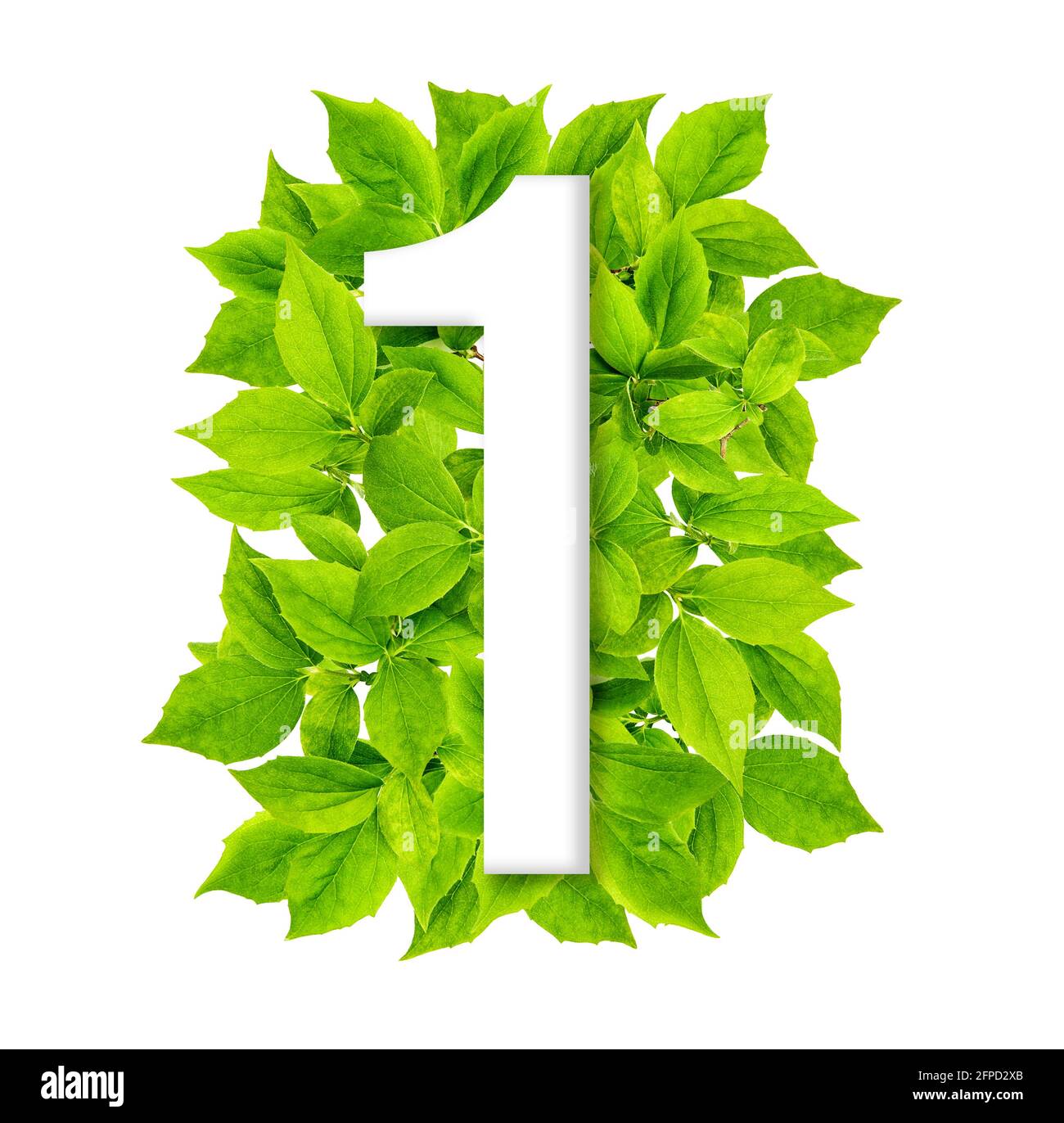 Numero uno con sfondo verde delle foglie. Concetto di ambiente creativo. Forma numero uno Foto Stock
